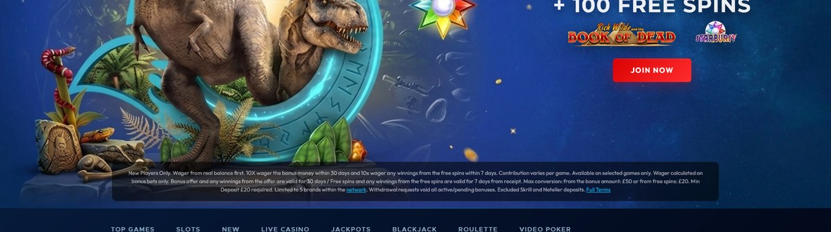 Popular slots on the BlueFox lobby